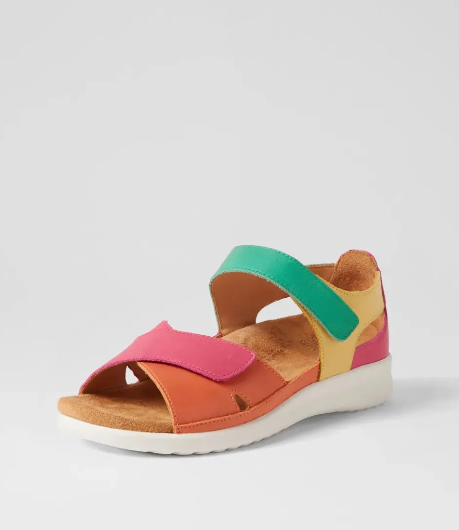 bronn_ziera_0.webp ZIERA BRONN- BRIGHT MULTI Hot