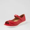 ZIERA DAFFODIL- Red Sale