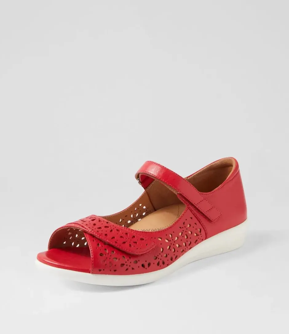 daffodil_ziera_0.webp ZIERA DAFFODIL- Red Sale