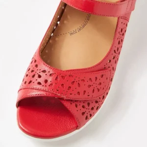 ZIERA DAFFODIL- Red Sale