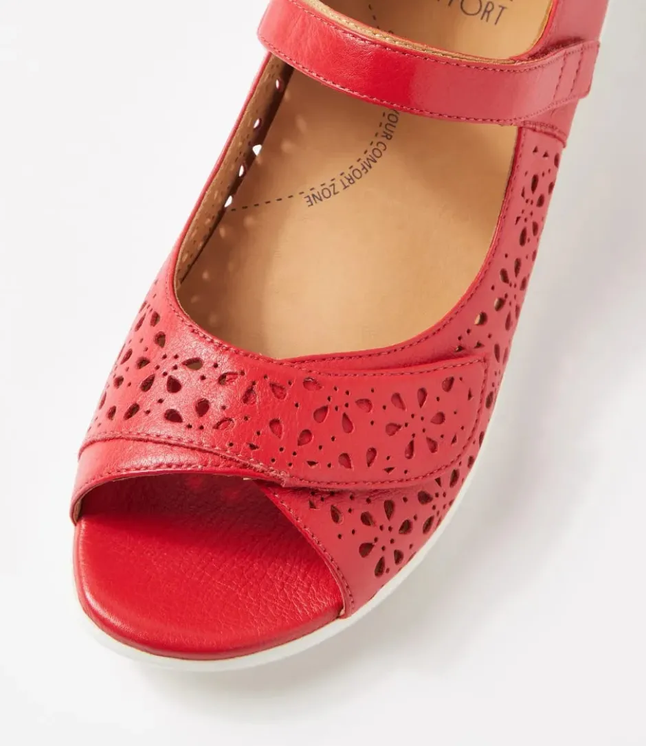 daffodil_ziera_1.webp ZIERA DAFFODIL- Red Sale