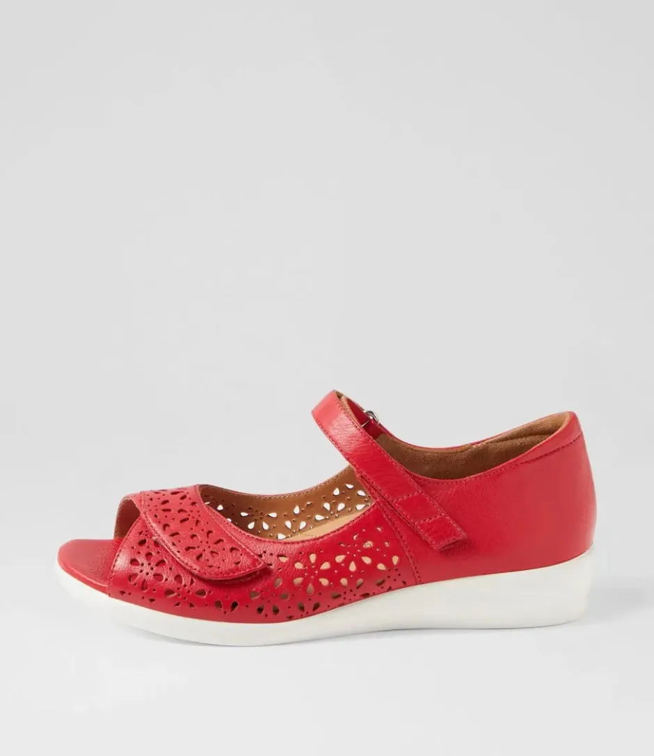 daffodil_ziera_2.webp ZIERA DAFFODIL- Red Sale