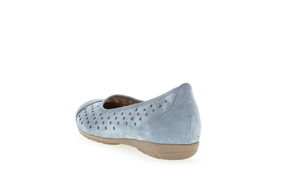hoyagabor_2.webp GABOR HOYA- Blue Clearance
