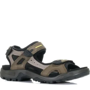 ECCO OFFROAD- TARMAC Hot