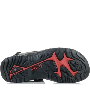 ECCO OFFROAD- TARMAC Hot