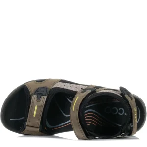 ECCO OFFROAD- TARMAC Hot